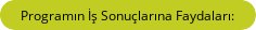 Programın İş Sonuçlarına Faydaları
