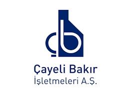 ARTVİN BAKIR MADEN İŞLETMELERİ Çalışanları