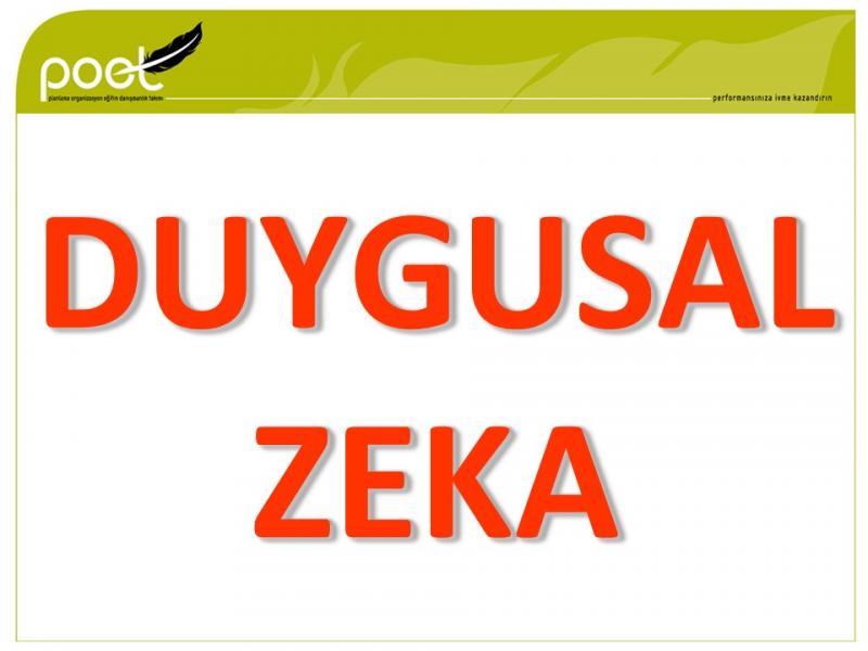 DJ AUTO - Duygusal Zeka